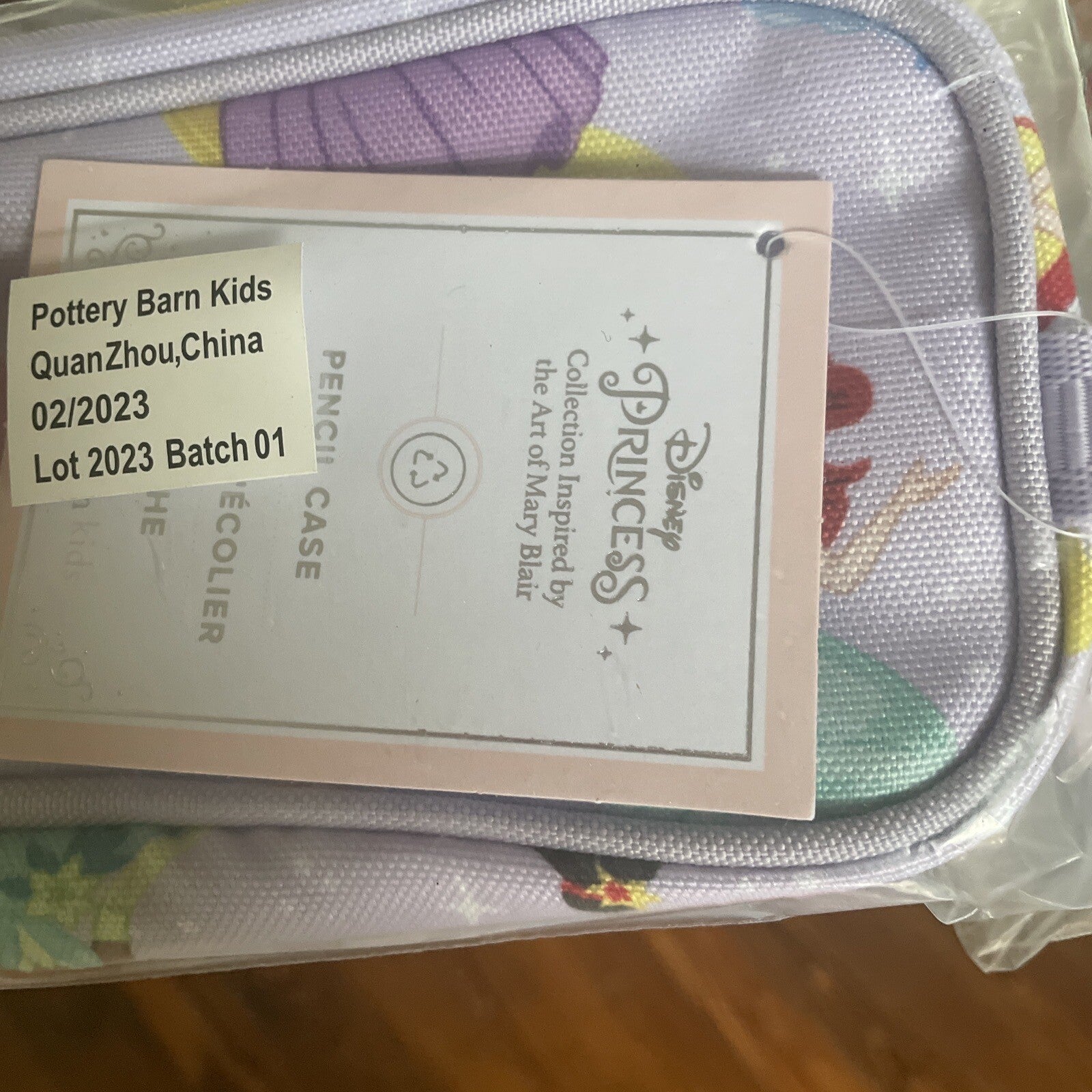 Pottery Barn Disney School Pre k  Princess girl Cinderella Belle Birthday?? /