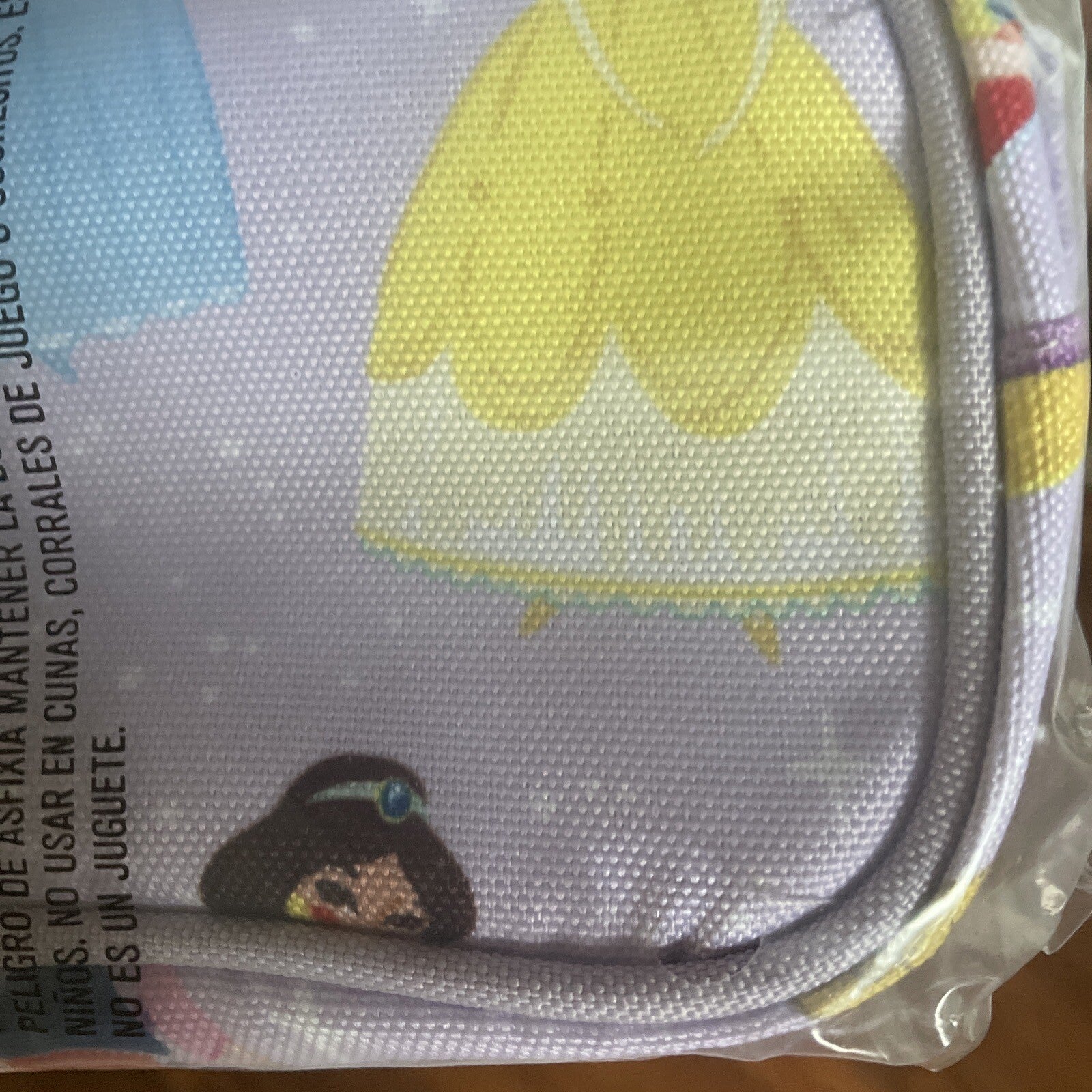 Pottery Barn Disney School Pre k  Princess girl Cinderella Belle Birthday?? /