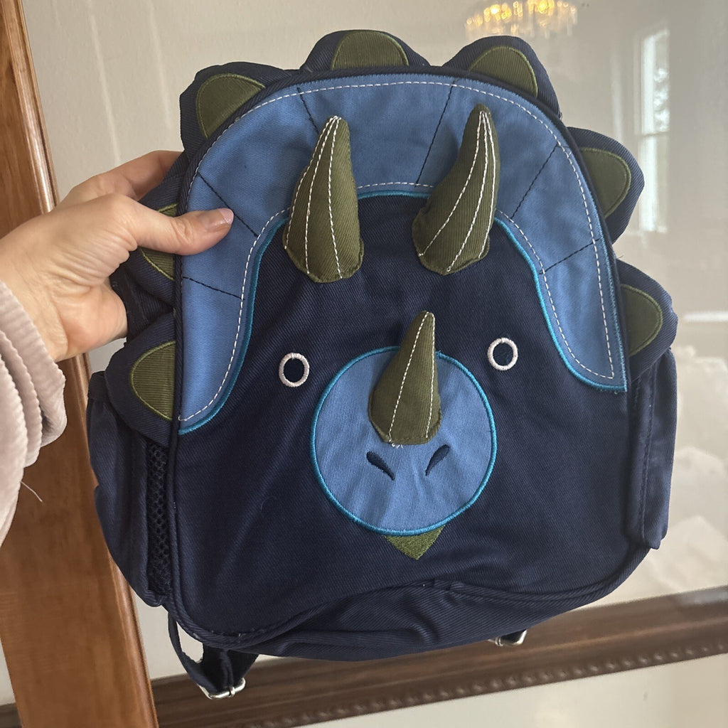 School Pottery Barn Disney Backpack bag Boy Dinosaur pre k travel Jurassic n