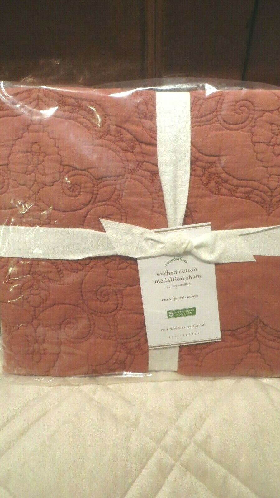 Pottery Barn Disney Pillow cover sham Holiday party gift school kid star Euro  ]