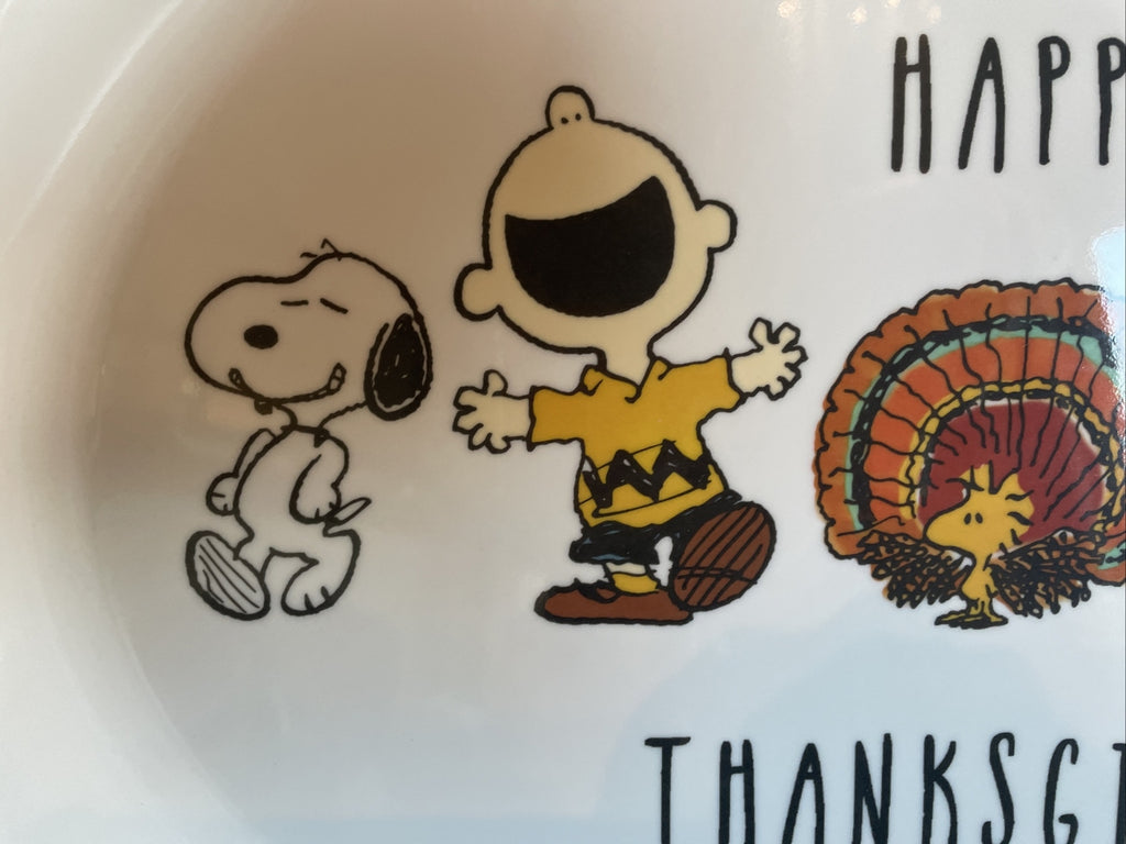 Disney Snoopy Pottery Barn Peanuts Holiday platter party plate tray school 1