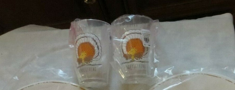 Snoopy Pottery Barn peanuts Cup Holiday party Thanksgiving Disney kid gift SET 2