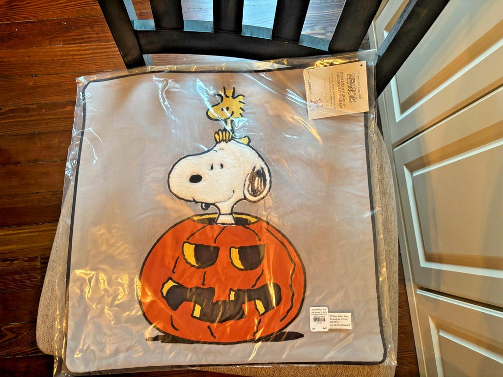 Snoopy Pottery Barn Peanuts Holiday pillow Sham halloween Disney School kids n