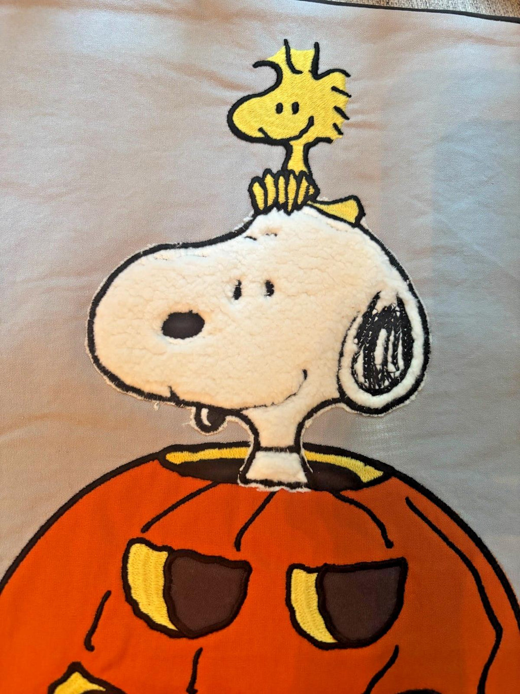 Snoopy Pottery Barn Peanuts Holiday pillow Sham halloween Disney School kids n