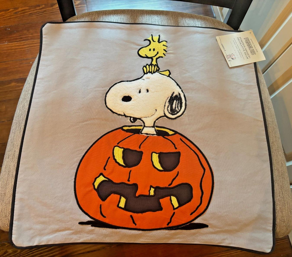 Snoopy Pottery Barn Peanuts Holiday pillow Sham halloween Disney School kids n
