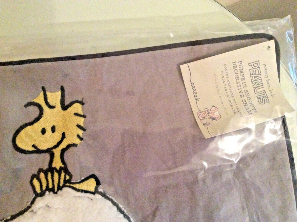 Snoopy Pottery Barn Peanuts Holiday pillow Sham halloween Disney School kids n