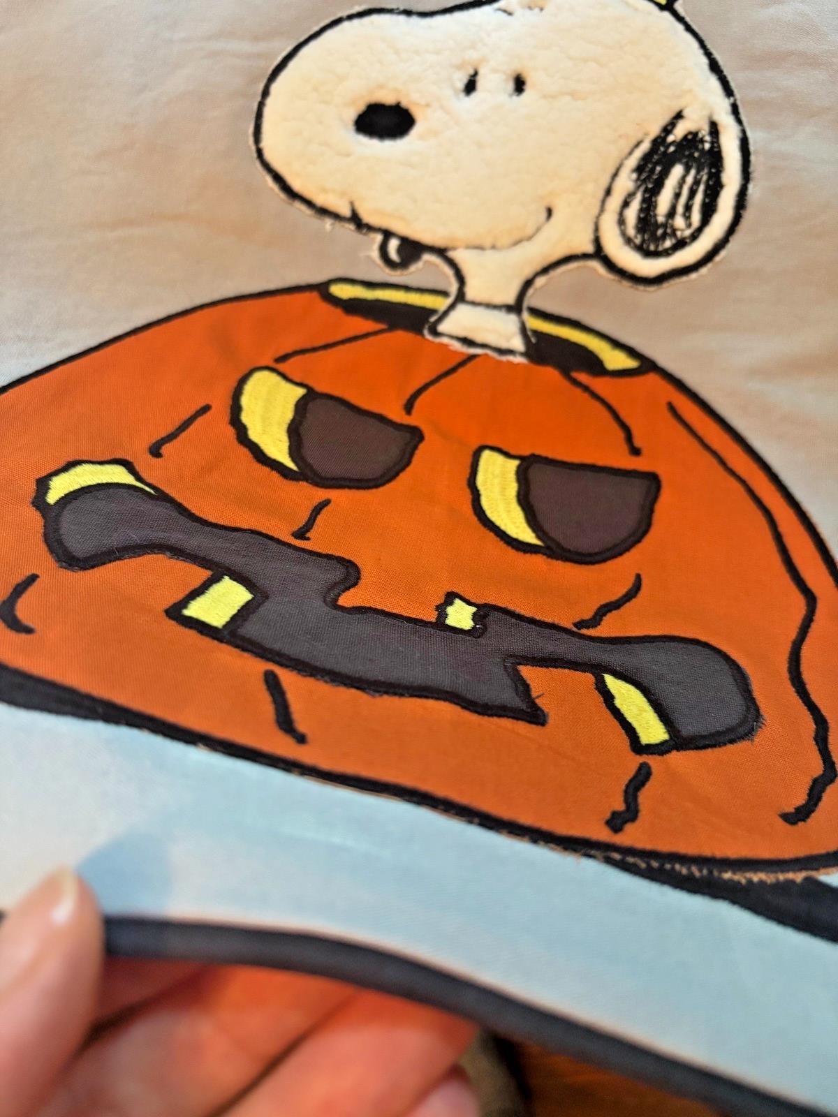 Snoopy Pottery Barn Peanuts Holiday pillow Sham halloween Disney School kids n