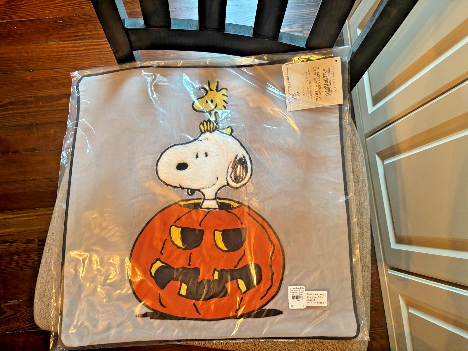 Snoopy Pottery Barn Peanuts Holiday pillow Sham halloween Disney School kids n