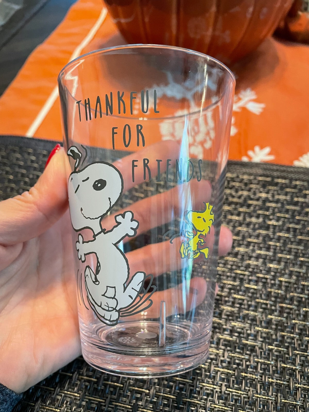 Pottery barn Snoopy school Peanuts Holiday dog gift party Thanksgiving cup SET 2