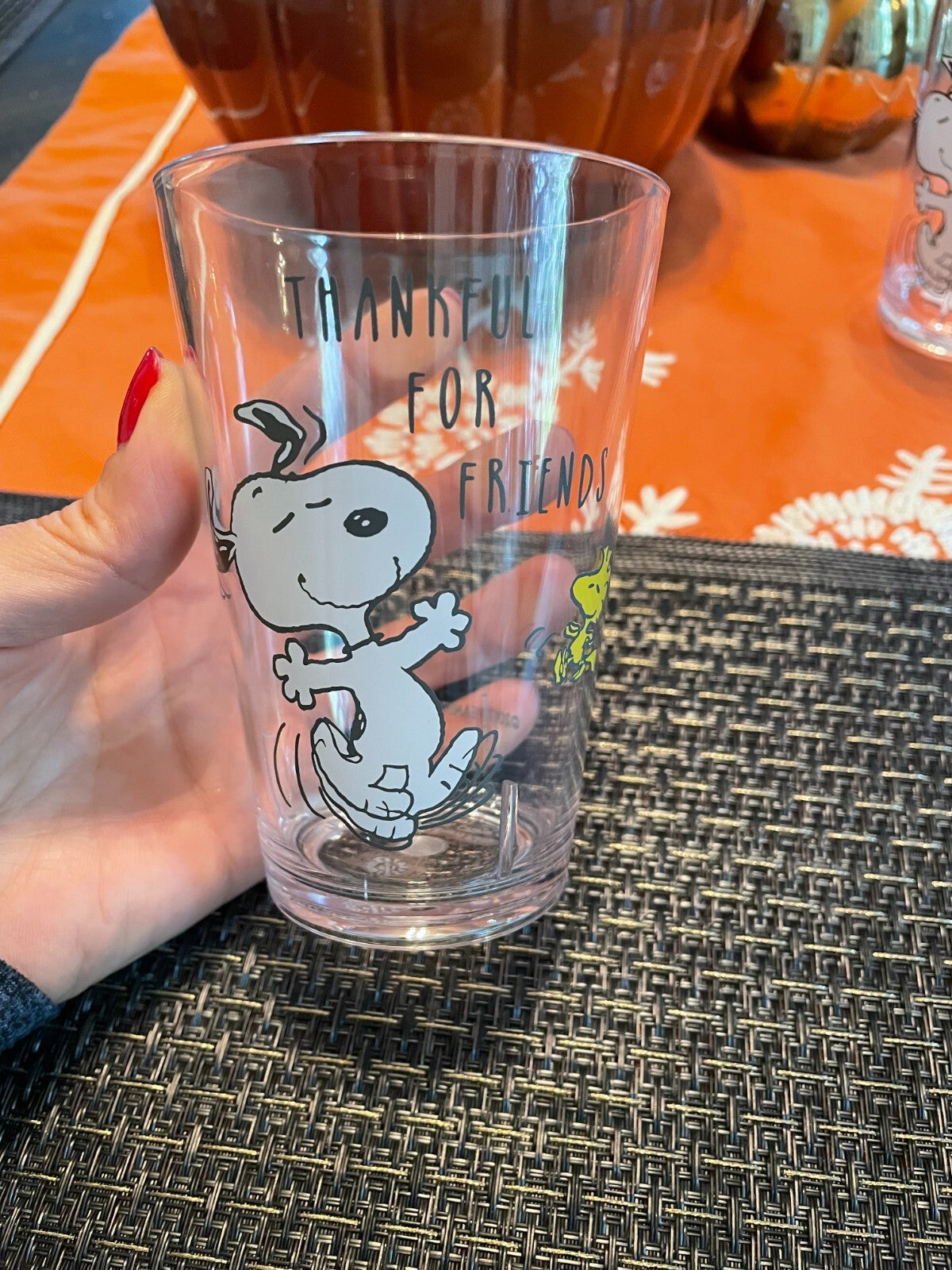 Pottery barn Snoopy school Peanuts Holiday dog gift party Thanksgiving cup SET 2