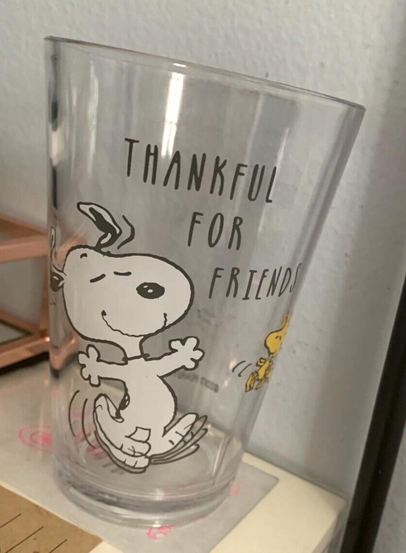 Pottery barn Snoopy school Peanuts Holiday dog gift party Thanksgiving cup SET 2