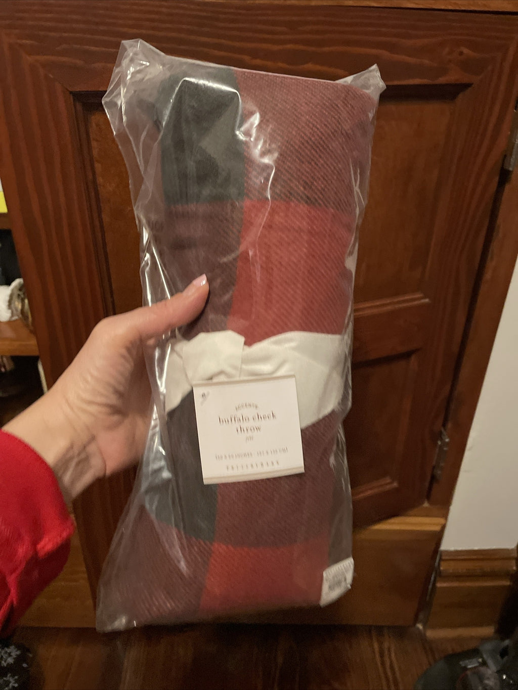 Pottery Barn holiday Christmas Plaid Stewart?throw blanket cover Disney Gift ??'
