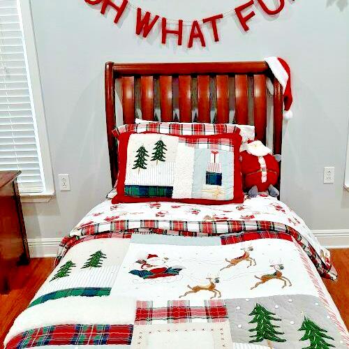 Pottery Barn Pillow SHAM  Plaid Disney Holiday fur star Christmas gift kids ]