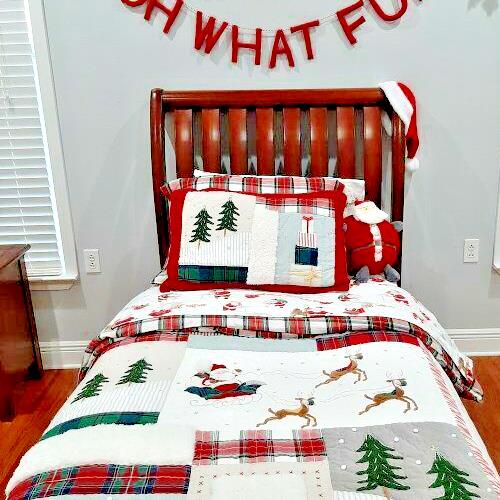 Pottery Barn Pillow SHAM  Plaid Disney Holiday fur star Christmas gift kids ]