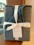 Pottery Barn Velvet Euro PILLOW SHAM holiday Birthday Blue gift party guest '