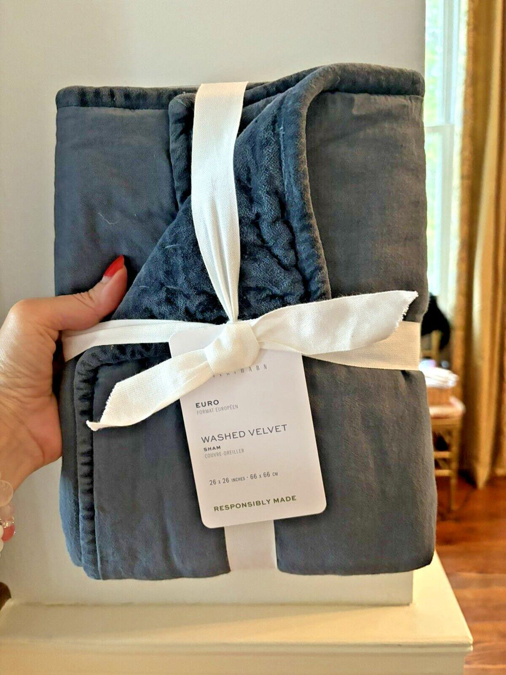 Pottery Barn Velvet Euro PILLOW SHAM holiday Birthday Blue gift party guest '