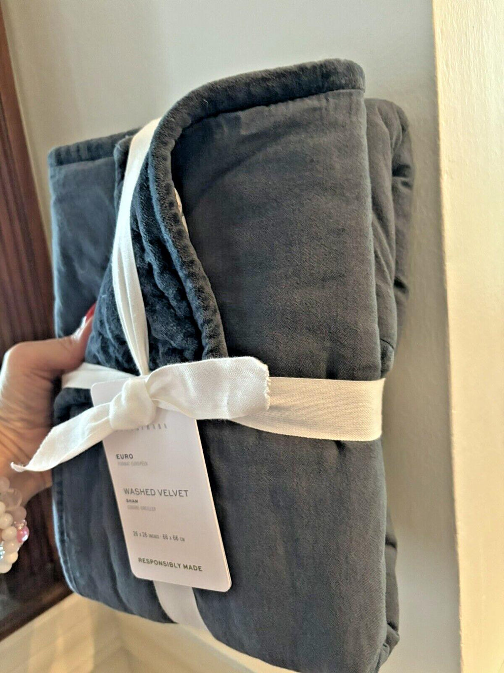 Pottery Barn Velvet Euro PILLOW SHAM holiday Birthday Blue gift party guest '