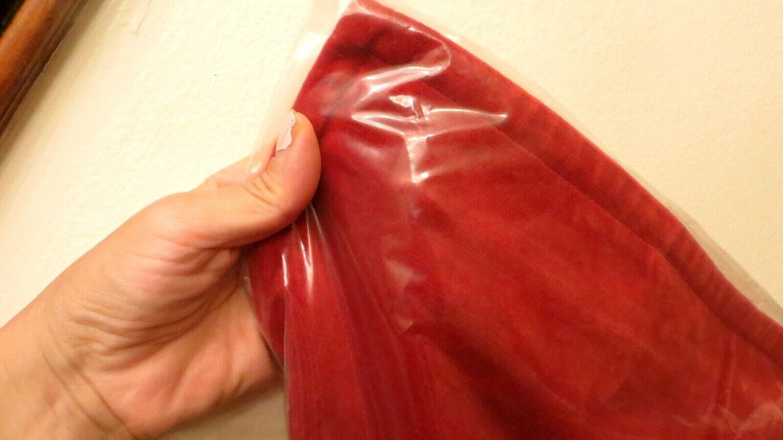 Disney Pottery Barn holiday Velvet Pillow cover sham Valentine party gift Red