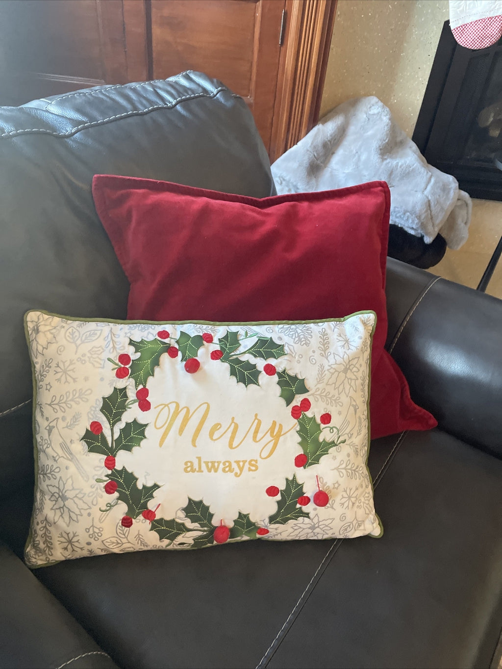Disney Pottery Barn holiday Velvet Pillow cover sham Valentine party gift Red