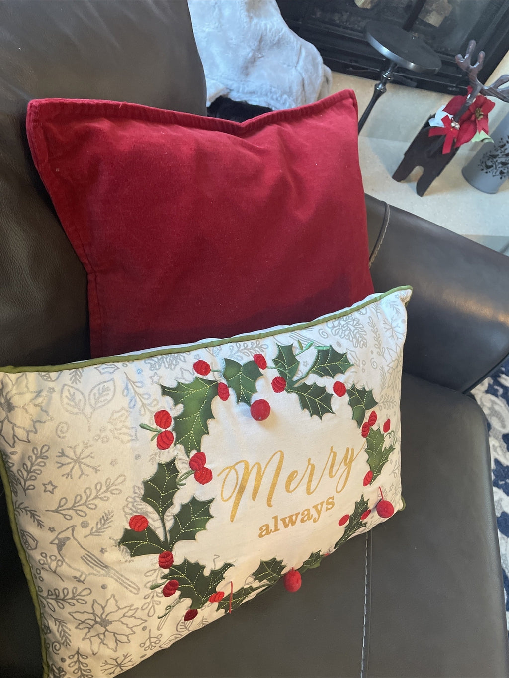 Disney Pottery Barn holiday Velvet Pillow cover sham Valentine party gift Red