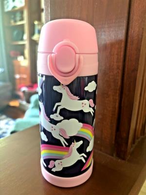 Pottery Barn School Lunch Disney Snoopy Mickey Star Wars WATER travel Marvel .
