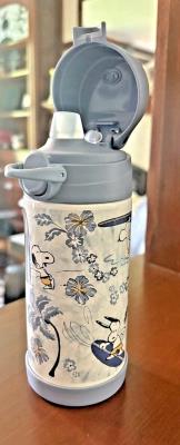 Pottery Barn School Lunch Disney Snoopy Mickey Star Wars WATER travel Marvel .