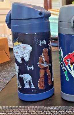 Pottery Barn School Lunch Disney Snoopy Mickey Star Wars WATER travel Marvel .