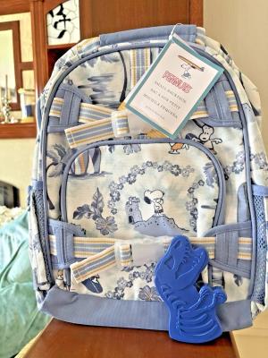 Pottery Barn School Disney Snoopy Dinosaur Grogu BACKPACK LUNCH travel Bag boy .